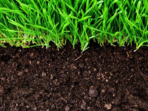 Грунт растительный